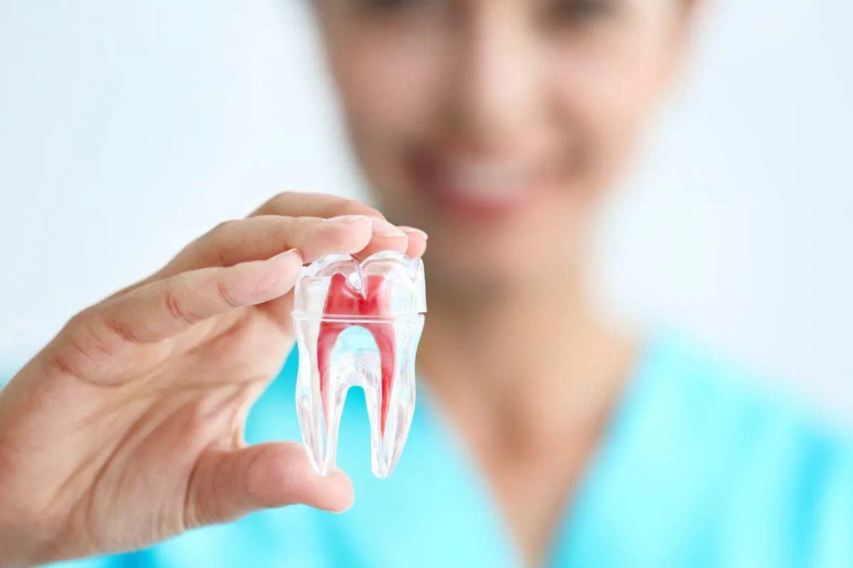 teeth in a day